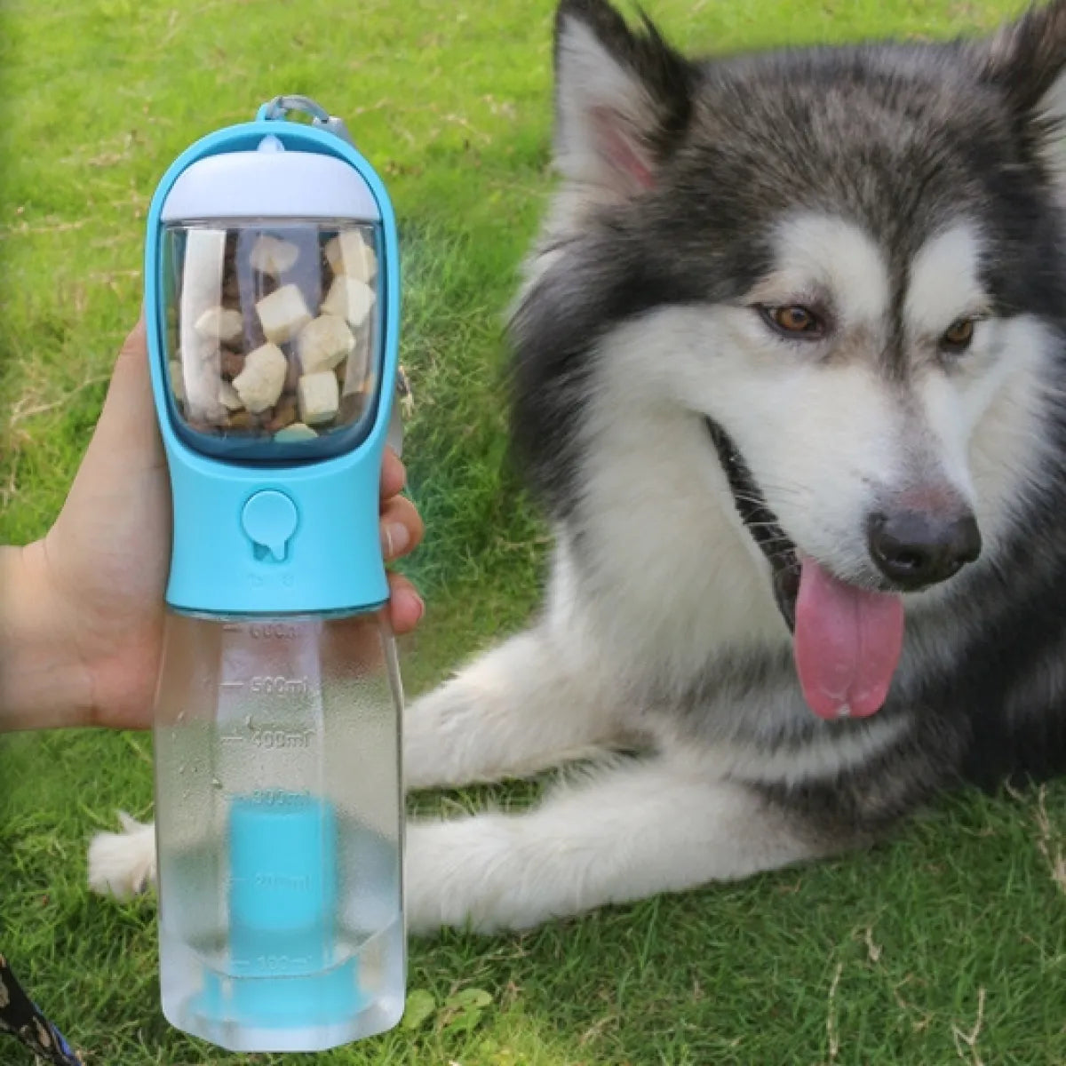 Gourde 3-en-1 MyPawHydra avec husky - promenade